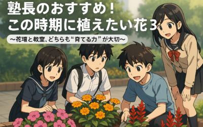 塾長のおすすめ！この時期に植えたい花3選
