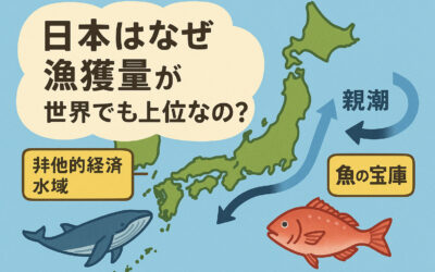 【小6読解はかせ】日本はなぜ「魚の宝庫」なの？～海と地形が生んだ豊かな漁業～