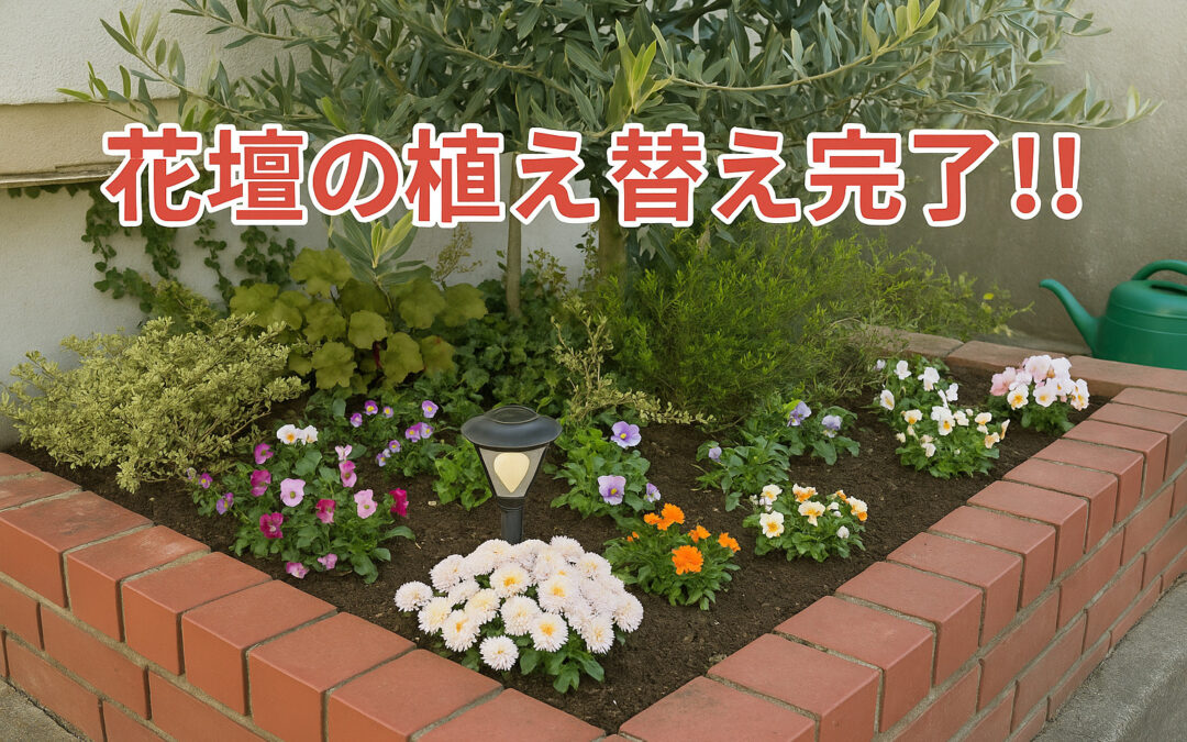 花壇の植え替え完了！